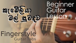 Kameliya Mal Fingerstyle Guitar Tabs [upl. by Ahsinrev456]