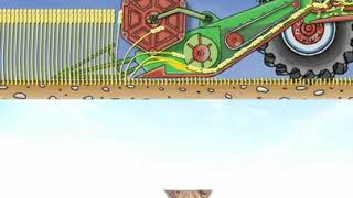 How a combine harvester works [upl. by Ataeb705]