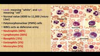 Functions of WBCs basic functions of Leukocytesclassification of WBC [upl. by Dnilasor]