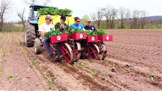 LIFE OF A VEGETABLE FARMER  PLANTING SEASON 2022 [upl. by Short]