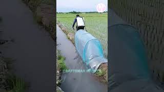 Unusual pesticide spraying operation [upl. by Iphigeniah]