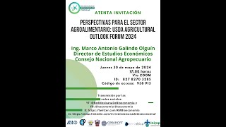 🔎🐂🌽Perspectivas del sector agroalimentario USDA Agricultural Outlook Forum 2024 [upl. by Aneed641]