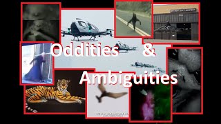 Oddities amp Ambiguities 2 [upl. by Sorci219]