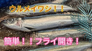 魚の捌き方簡単！フライ用捌き方！ウルメイワシ [upl. by Nelyt]