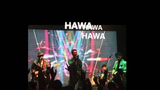 Sanam  SQS  Hawa Hawa lyrics [upl. by Kcirdled914]