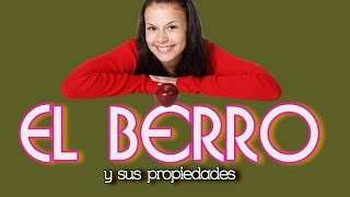 El Berro y Sus Propiedades  Lo Que Todos Debemos Conocer Acerca de los Beneficios del Berro [upl. by Ontina]