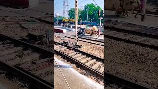 Train travel vlog of new delhi railway stationshortsfeed train railtravel railway [upl. by Esital]