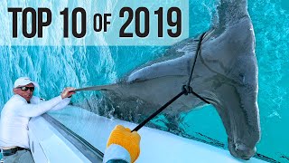 Top 10 Best Fishing Moments from 2019 [upl. by Ivey878]