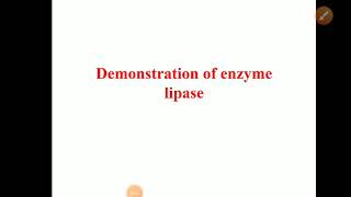 Demonstration of enzyme lipase  Experiment [upl. by Bernat930]