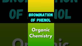 Bromination of Phenol🤔🤔Organic chemistry shorts viral [upl. by Abbub228]