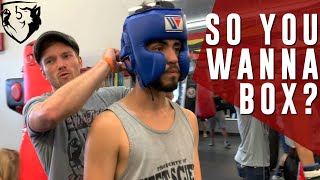 So You Wanna be a Boxer 4Week Boxing Fight Camp [upl. by Hubie256]