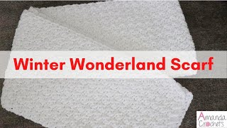 Winter Wonderland Scarf  Easy Crochet Scarf Tutorial [upl. by Assilana672]