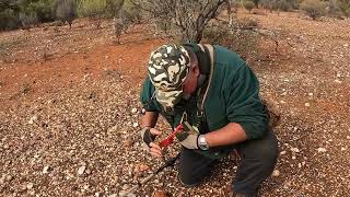 Gold detecting Western Australia 2023  Part 10 [upl. by Ranite147]