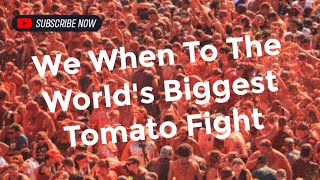 Mindblowing Thousands bathe in tomato sauce at La Tomatina [upl. by Sitruk958]