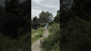 Tracking in palampur Himachal Pradesh track mountains shorts [upl. by Enneyehc]