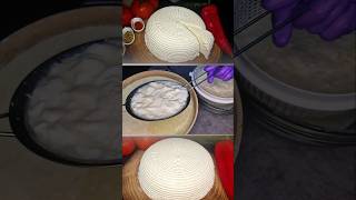 How to make cheese cheese short howto [upl. by Tada735]