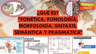 ¿Qué es Fonética Fonología Morfología Sintaxis Semántica Pragmática Temas sobre lenguaje [upl. by Viquelia269]