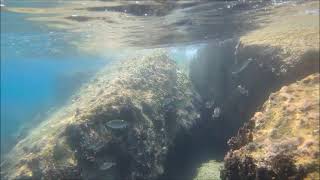 1382024 snorkeling at Dasoudi wavebreaker Limassol Cyprus [upl. by Anived]