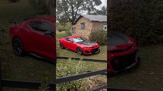 ketchupampmustard barn find zl1 zl1camaro camaro [upl. by Huberty]