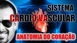 Sistema Cardiovascular  Coração Anatomia localização e envoltórios camadas  VideoAula 045 [upl. by Cchaddie169]