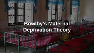 Maternal Deprivation Hypothesis [upl. by Aihcila]