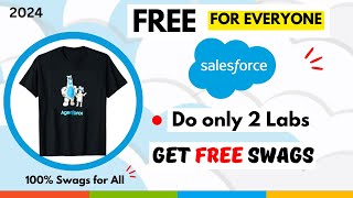 Get New Salesforce Swags for Free  How to get Salesforce swags in 2024 [upl. by Shing783]