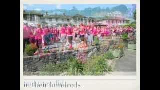 pink ribbon killaloe [upl. by Waylon275]