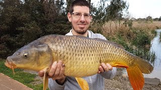 HOW TO CATCH BIG CARP  Carp fishing Melbourne [upl. by Tinya88]