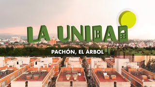 La Unidad  Pachón el árbol [upl. by Aicenev]