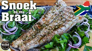 Snoek Braai Recipe  Grilled Barracouta Thyrsites atun  Snake mackerel  South African Recipes [upl. by Smiley327]