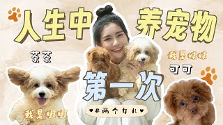 家里添加新成员啦！为什么一次过养两只？｜养宠物的心得 [upl. by Jadwiga]