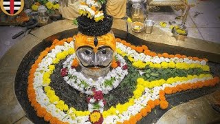 Trimbakeshwar Jyotirling live darshan NASHIK shots food cooking ytshots [upl. by Viafore615]