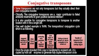 Conjugative transposons [upl. by Baniaz104]