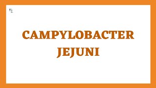 Campylobacter jejuni Campylobacteriosis Causes Symptoms Diagnosis Treatment [upl. by Enneiviv779]