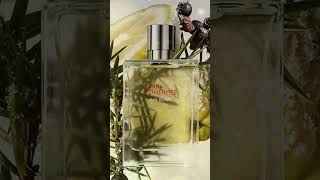 HERMES TERRE DHERMES EAU GIVREE [upl. by Vassaux]