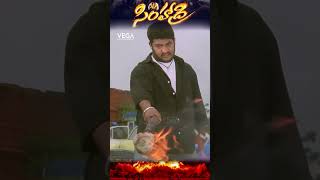 shorts  Simhadri Movie Action Scene NTR bhumika telugumovies ytshorts devara simhadri4k [upl. by Lionello]