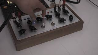 Wing Pinger  External Sound Processing [upl. by Ilah]