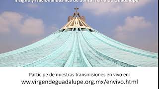 Transmisiones en vivo desde la Basílica de Guadalupe [upl. by Baun]