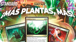 🐺 GOLGARI RAÍCES  Bo1 STANDARD  MTG Arena en Español [upl. by Edette829]