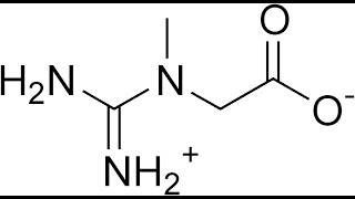 121 Creatine [upl. by Rogers751]