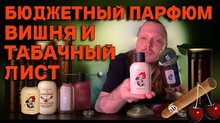 Отличный бюджетный вишневотабачный парфюм для мужчин и женщинВкусно за копейки [upl. by Arramahs]