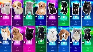 ALL CUTE CATS VS DOGS  IMAGINE DRAGONS  WAKA WAKA  SAVAGE LOVE  SHAPE OF YOU TILES HOP EDM RUSH [upl. by Nidak542]