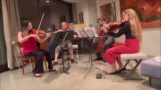 Gershwin Lullaby with Jana Kaminsky viola [upl. by Studley]