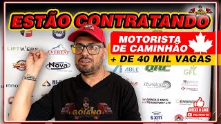 ESTÃO CONTRATANDO MOTORISTA DE CAMINHÃO AQUI NO CANADÁ  DE 40 MIL VAGAS [upl. by Gniliem]