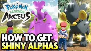 How to Get SHINY ALPHA POKEMON in Pokemon Legends Arceus [upl. by Darum]