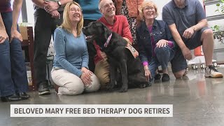 Beloved Mary Free Bed therapy dog set to retire after 8 years [upl. by Arraes]