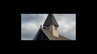 S1E9 St Joan of Arc Catholic Church [upl. by Hewett]