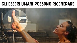 99 Brevi Fatti Sul Corpo Umano Che Avresti Voluto Conoscere Prima [upl. by Rifkin]