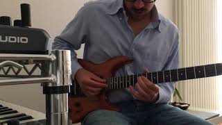 STEINBERGER GR4 Natural Demo [upl. by Ianteen458]