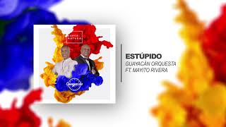 Guayacán Orquesta Ft Mayito Rivera  Estúpido  Audio Oficial [upl. by Norword]